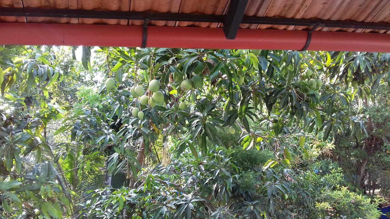 Marari Coastal Dreams Home Stay Alappuzha Экстерьер фото