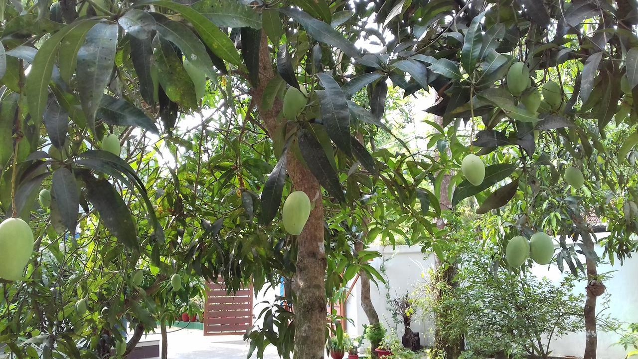 Marari Coastal Dreams Home Stay Alappuzha Экстерьер фото