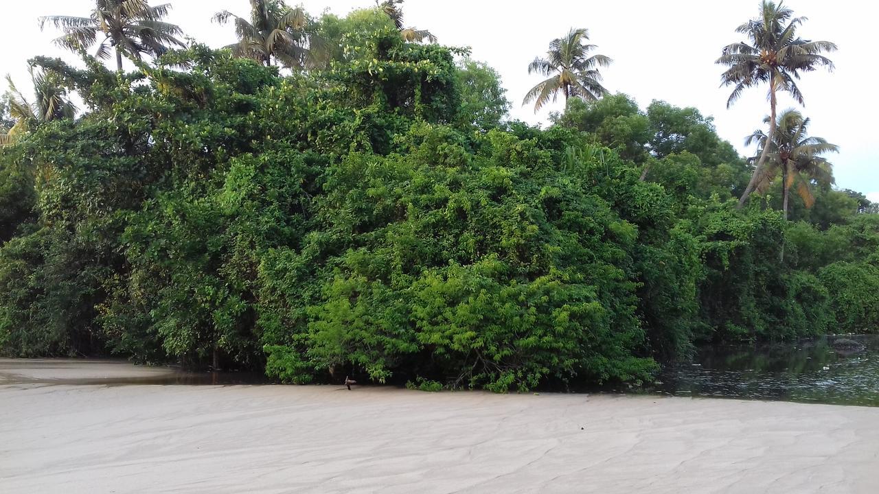 Marari Coastal Dreams Home Stay Alappuzha Экстерьер фото